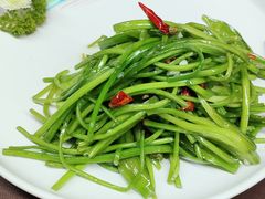 -恬阿姨庭院餐厅·生日宴