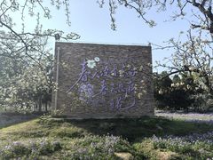 -江苏三台山国家森林公园
