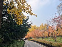 -中山公园