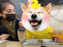 -豆初托育园 Baby Bean Day care Center
