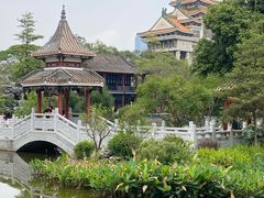 -顺峰山公园