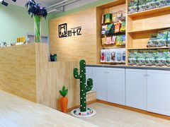 -猫十亿·布偶金渐层·曼基康矮脚猫舍(青年路店)