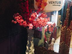 -ventus spa 沙巴亚庇正宗精油按摩会所