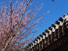 -三里河公园