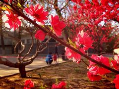 iphone_upload_pic-南馆公园