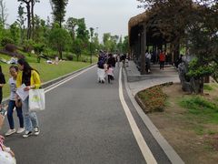 -枫香湖儿童公园