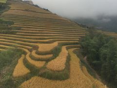 -春秋旅游航空(西藏路分部)