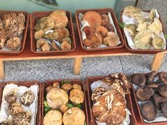 -草墩罗非鱼庄•野生菌•腊排骨(七星街上段店)