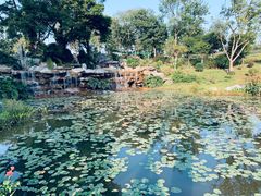 -东莞植物园