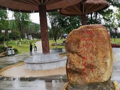 -铁山坪森林公园