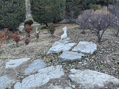 -燕郊植物园