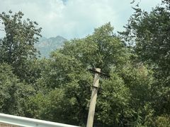 -秦皇岛野生动物园
