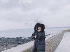 -涉地可支
