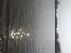 iphone_upload_pic-溱湖国家湿地公园