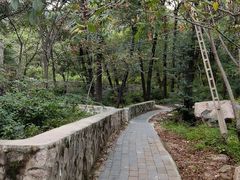 -大岭沟猕猴桃谷风景区