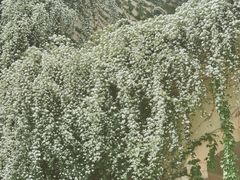 -府河摄影公园