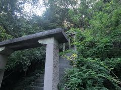 -宁波市保国寺古建筑博物馆