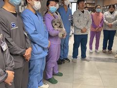 -北京派仕佳德动物医院·超导核磁·CT·神经科·骨科·内外科·急重症管理中心