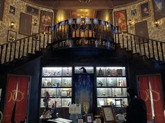 -雪灵魔法世界SHELLY’S TAROT(大良桂畔里店)