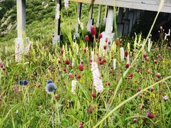 -白草畔自然风景区