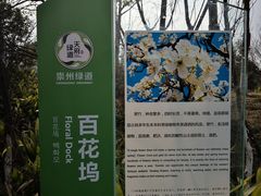 -桤木河湿地公园