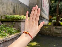 -杭州上天竺法喜讲寺