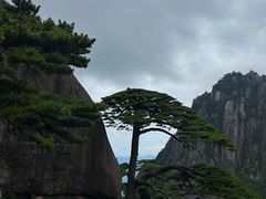 -黄山风景区