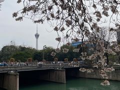 -红星桥(地铁站)