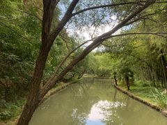 -同里国家湿地公园