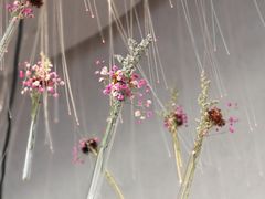 -赵小姐丨新中餐(曲江店)