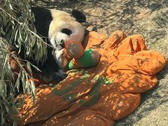 -大连森林动物园