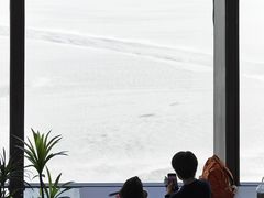 -抱抱地球咖啡馆(国家海洋博物馆店)