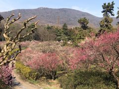 -紫霞湖公园