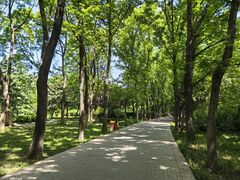 -洛阳市隋唐城遗址植物园