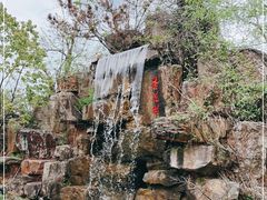 -杏花村文化旅游区