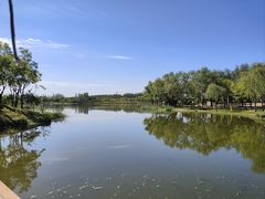 -东郊湿地公园