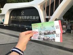 门票-成都大熊猫繁育研究基地