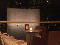 -拉斯维加斯永利酒店