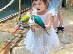 -泉城欧乐堡海洋极地世界