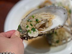 澳洲生蚝-东海怡品海鲜豆捞(舟宿夜江店)