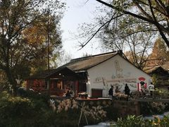 -西溪国家湿地公园
