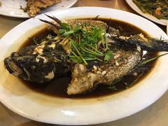 -大树下海鲜饭店