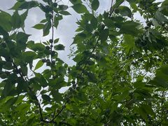 -仁和公园(顺义区)