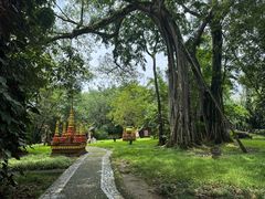 -瑞丽独树成林风景区