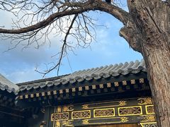 -花家怡园(四合院总店)