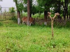 -乌村