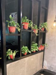 -时尚殿堂明星门店