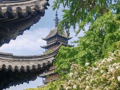 -常熟方塔园