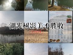 -梁鸿国家湿地公园