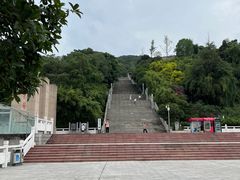 -铁山坪森林公园